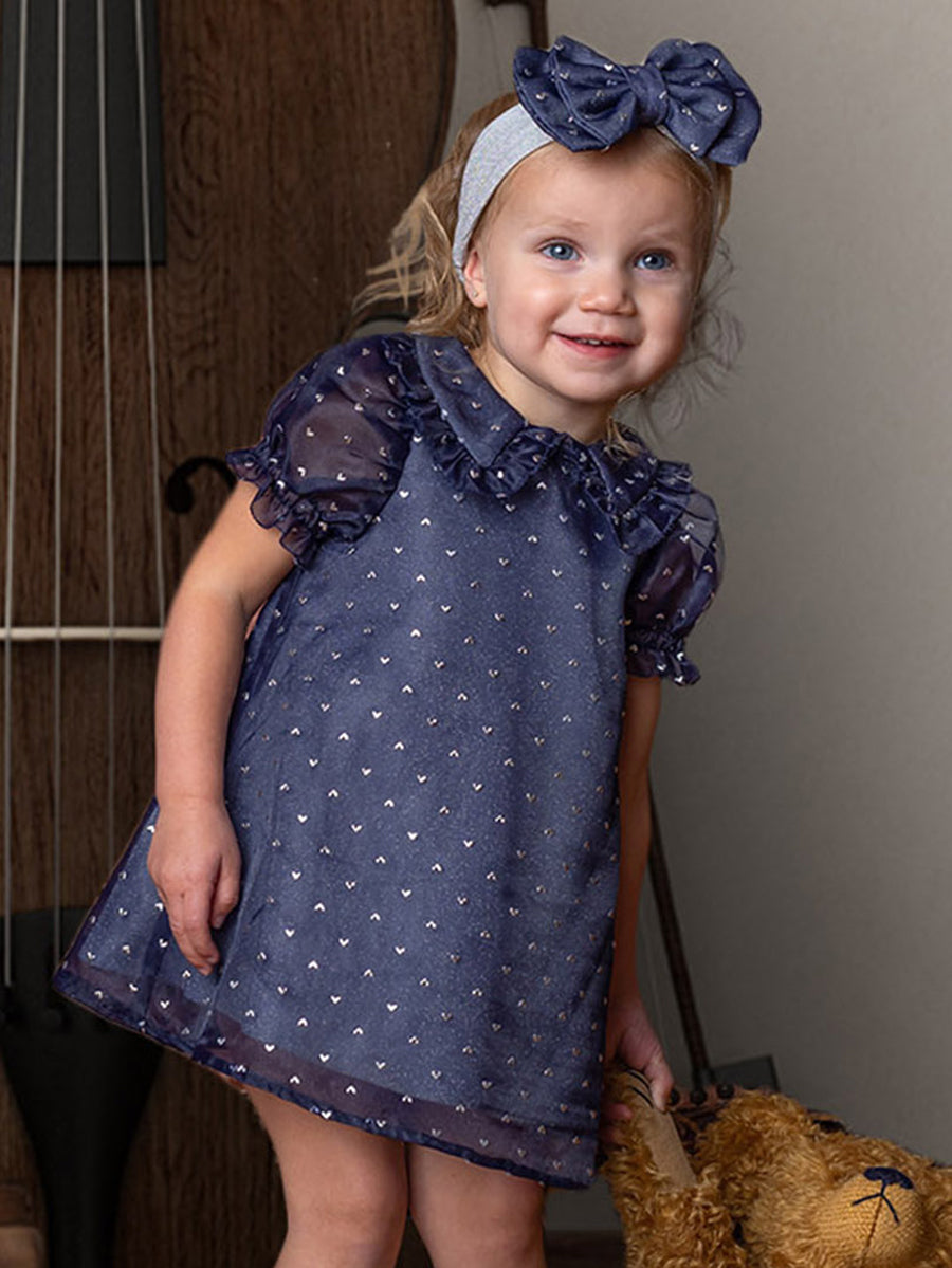 Majesty Blue Organza & Sparkling Dress for Toddlers