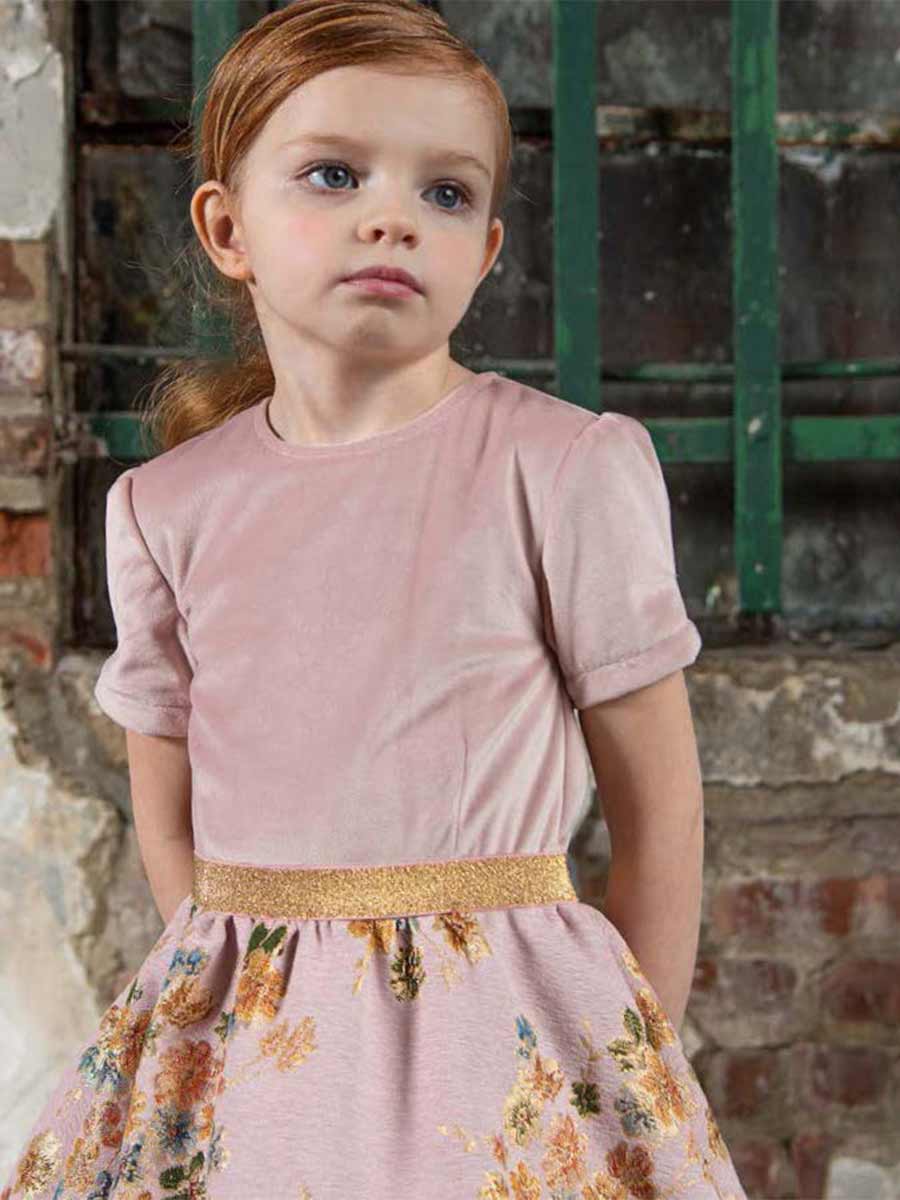 Velvet Jacquard Pleated Dress Potpouri