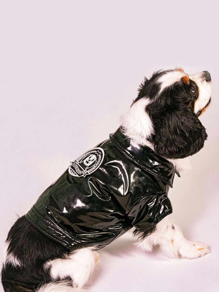 Black Biker Jacket For Dogs