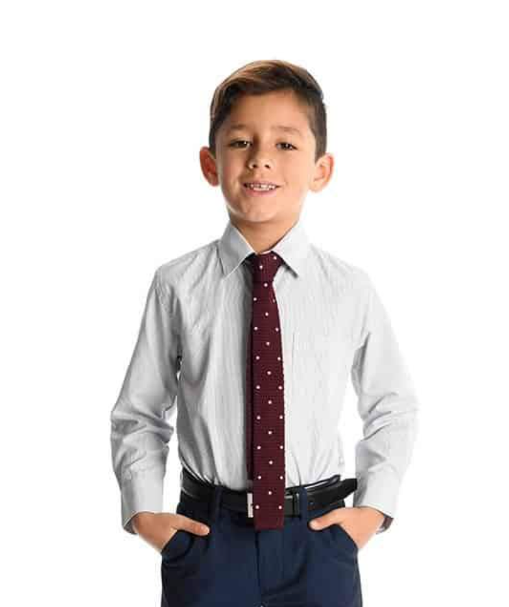 White & Blue Windowpane Shirt for Boys