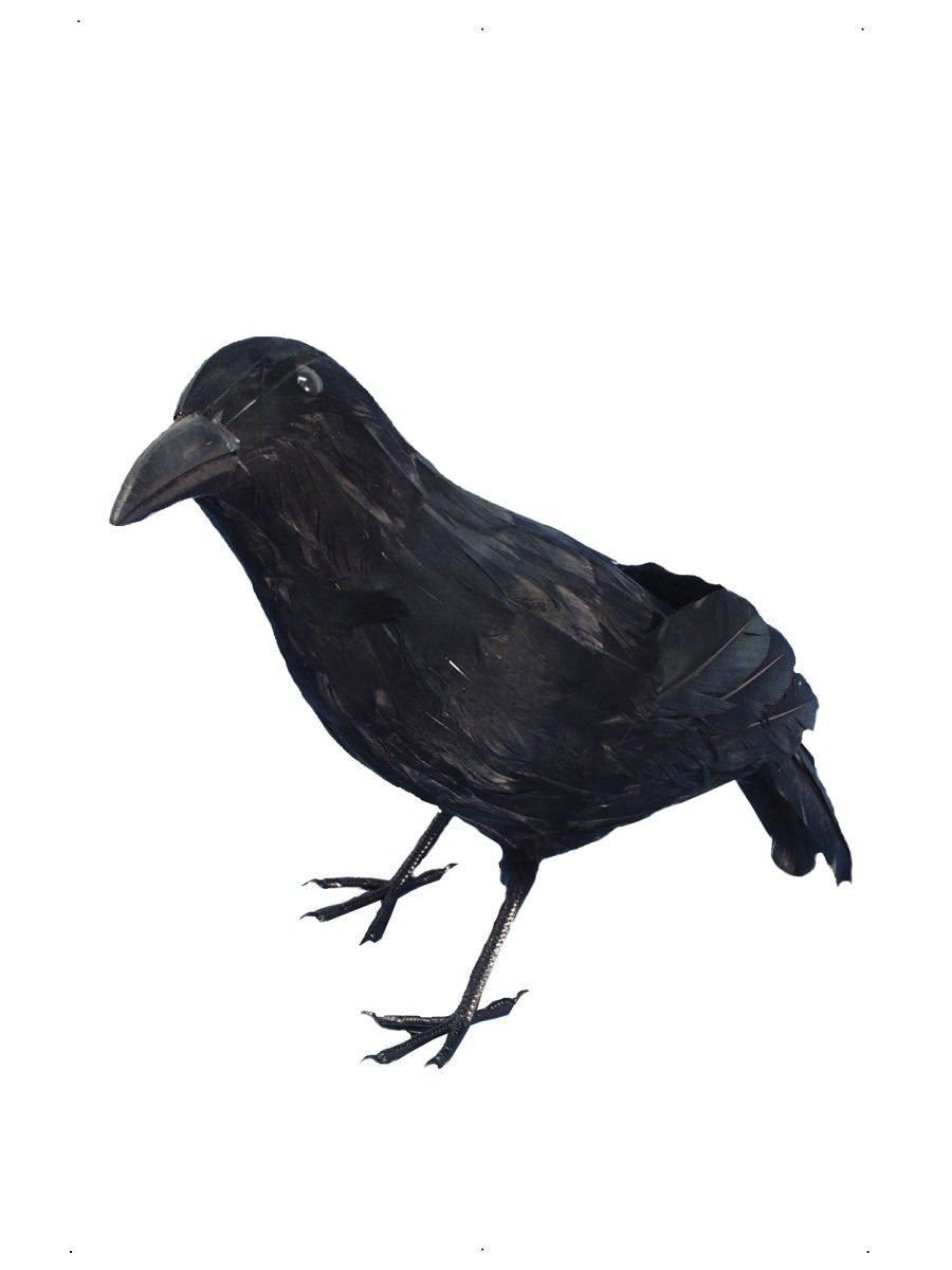 Crow