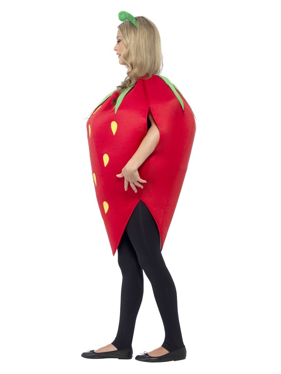 Strawberry Costume Alternative View 1.jpg