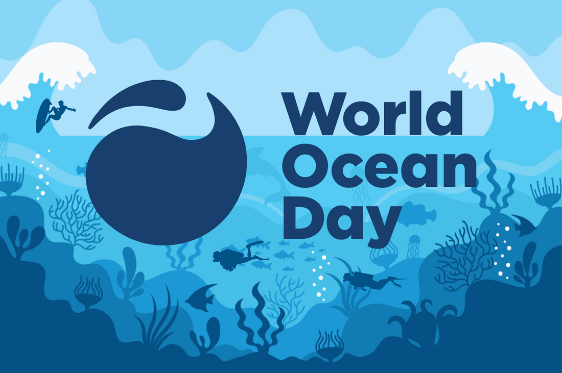 World Oceans Day: Protecting the Big Blue Planet
