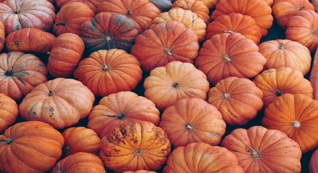 Make a Tasty Treat With Your Pumpkin Meat