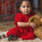 Noella Red Velvet Organza 2-Piece Set