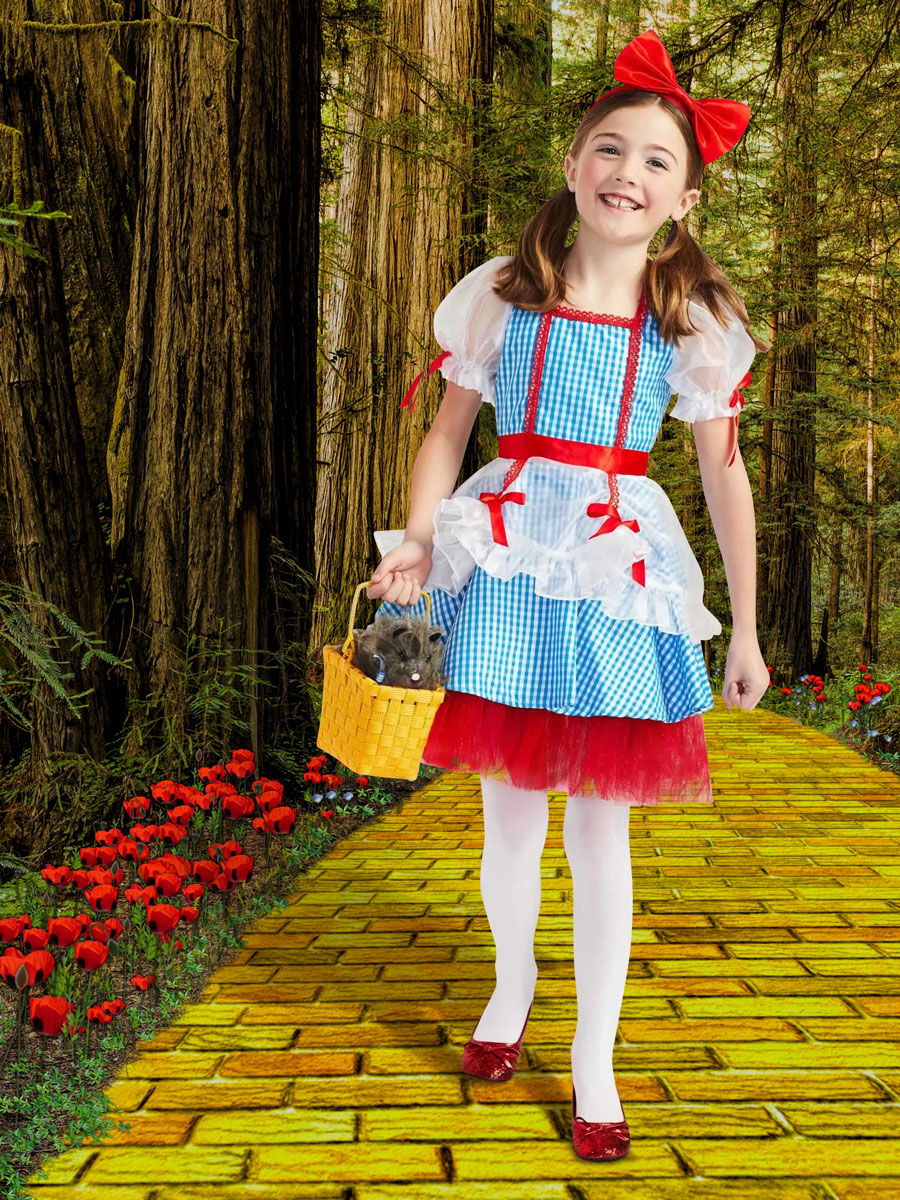 Dorothy Wizard of Oz Costume for Girls