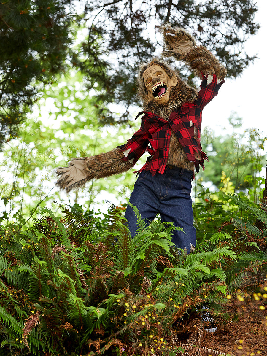 Werewolf Costume and Mask Set for Kids