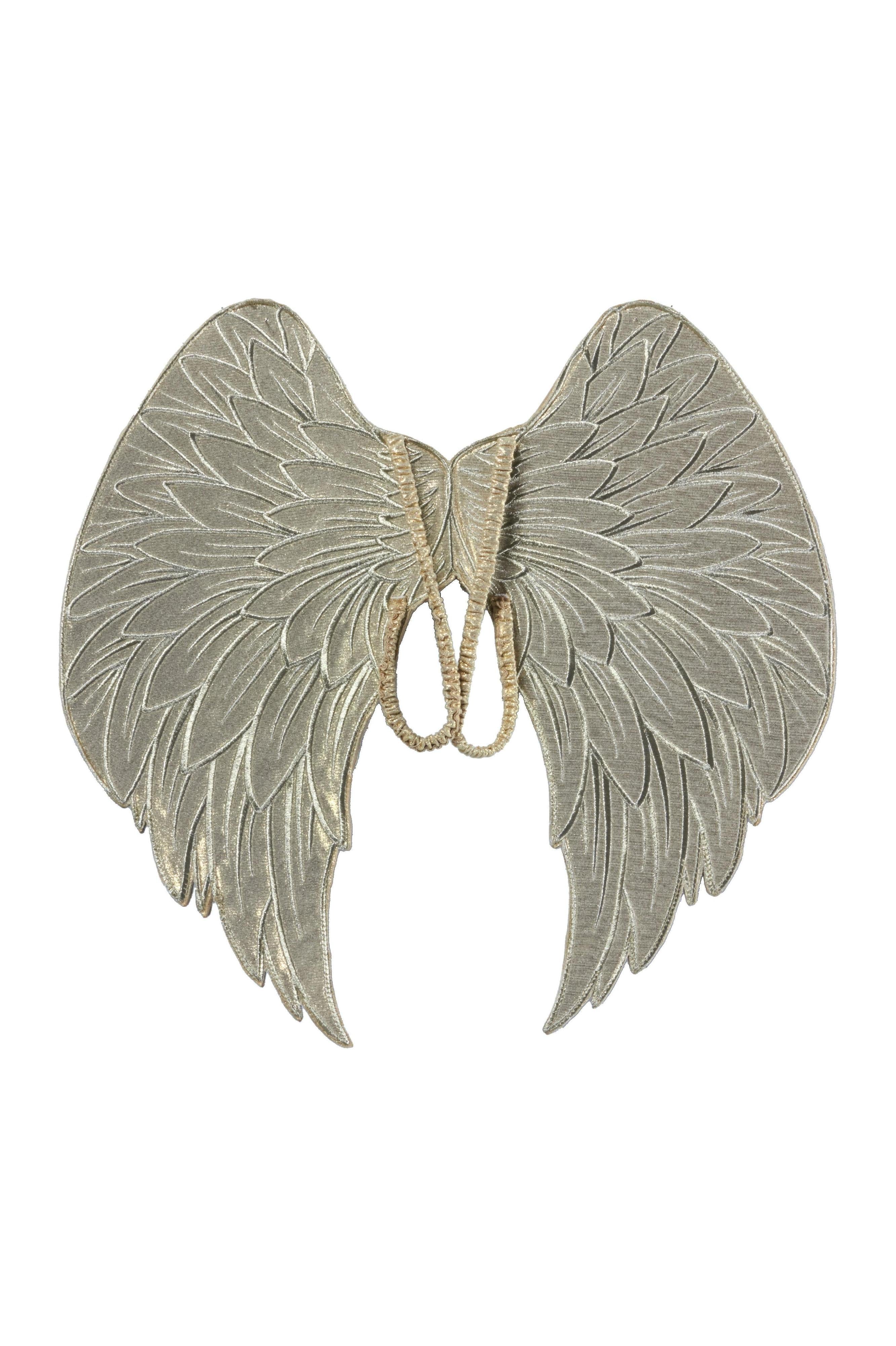 Gold Holiday Vintage Angel Dress and Wings Set for Girls