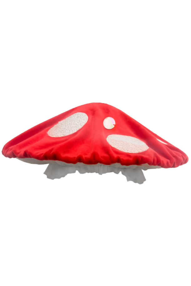 Once Upon a Toadstool Costume Set for Girls