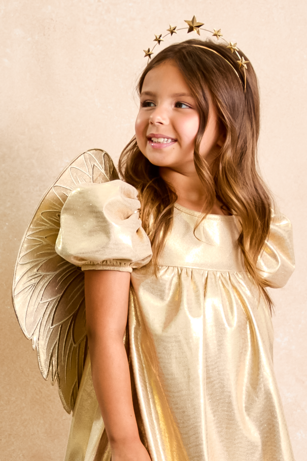 Gold Holiday Vintage Angel Dress and Wings Set