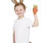 Beatrix Potter's Peter Rabbit Accessory Kit for Kids