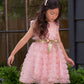 Blush Pink Ruffle Dress for Girls