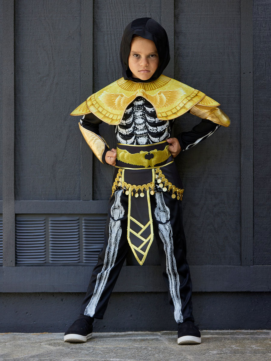 Shop Boys Egyptian Pharaoh Ancient Ruler Costume | Mega Fancy Shop Boys Egyptian Pharaoh Ancient Ruler Costume | Mega Fancy
