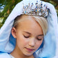 Ice Princess Tiara