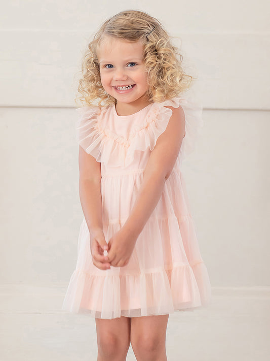 Serendipity Soft Pink Tulle Dress