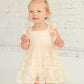 Toddler Vanilla Bean Embroidered Net Dress