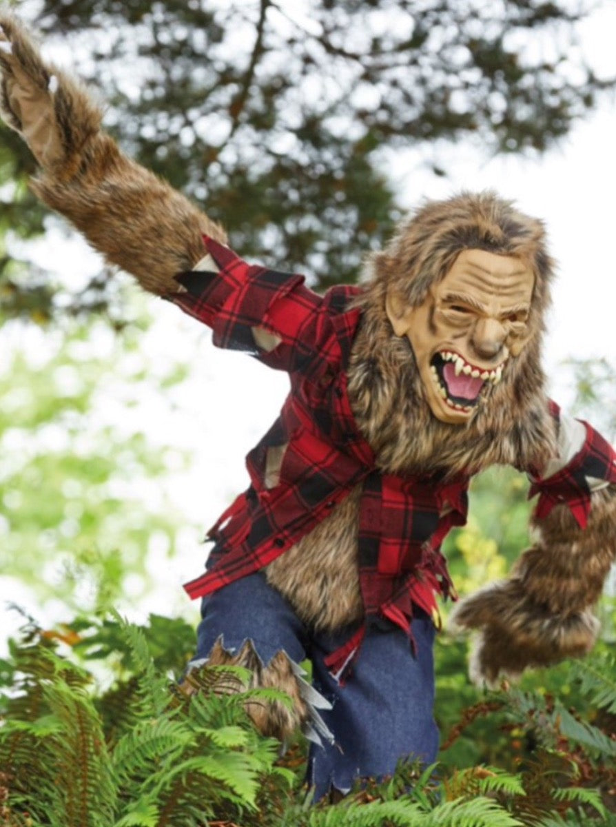 Wolf Mask and Costume For Boys