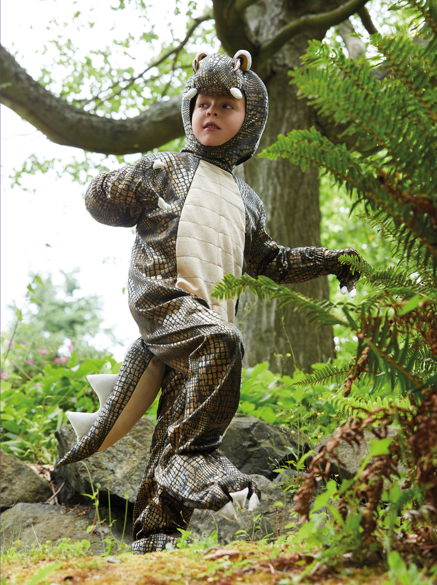 Exclusive Premium Trex Costume for Boys