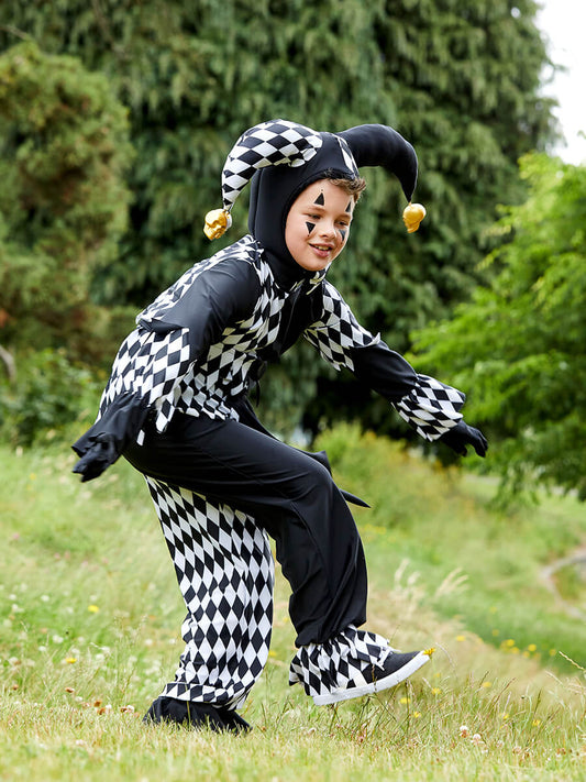 Jester Deluxe Costume for Boys