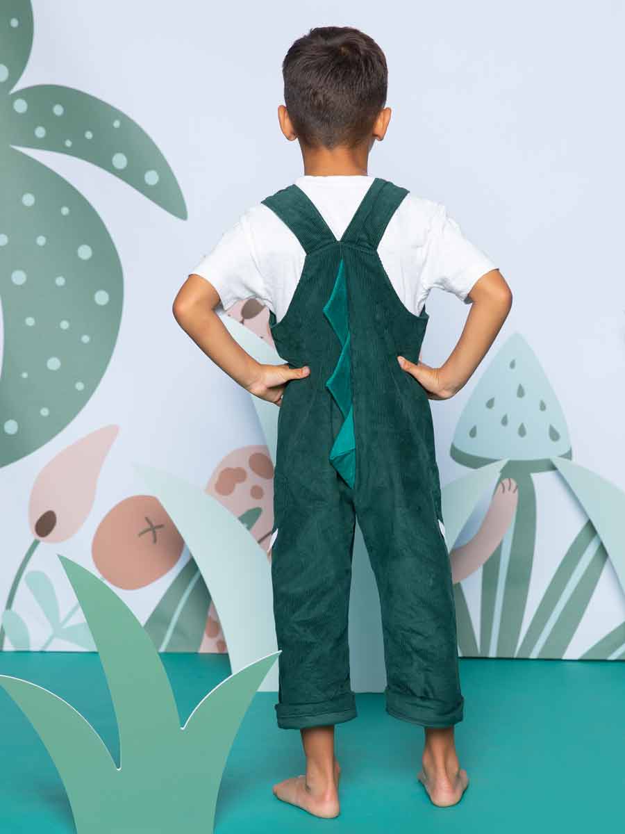 Dragon Overalls for Infants and Toddlers