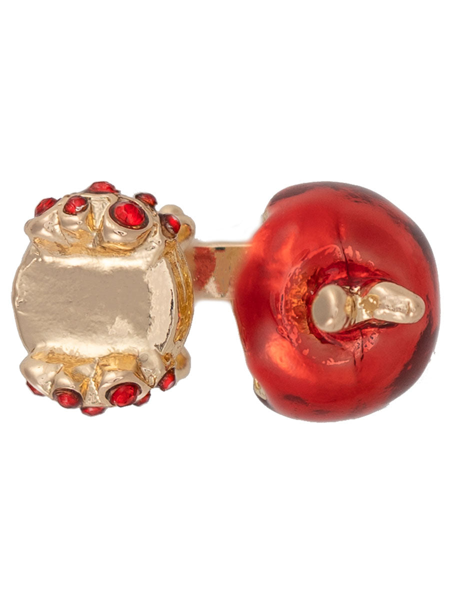 Apple Ring Alt 2