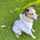 Spa Robe For Pets, Pink