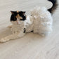 Pets Bridal / Flower Girl Dress