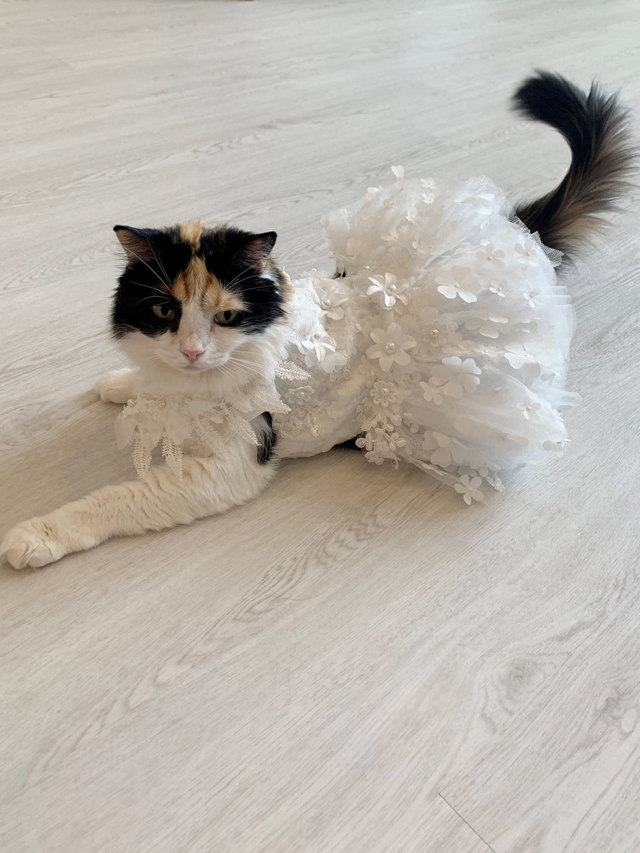 Pets Bridal / Flower Girl Dress