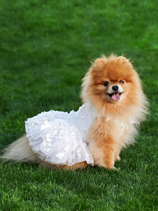 Delicate Chiffon Floral Bridal Dress For Pets