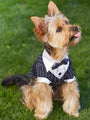Classic Tuxedo Jacket For Dogs