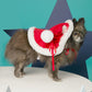 Christmas Santa Cape For Pets