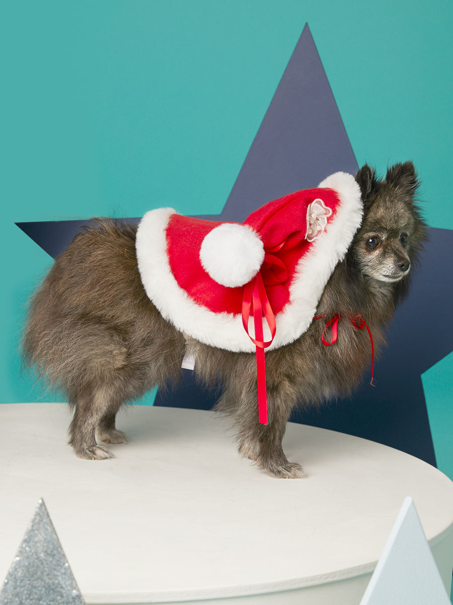 Christmas Santa Cape For Pets