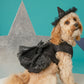 Glow In Dark Spiderweb Dress For Dogs