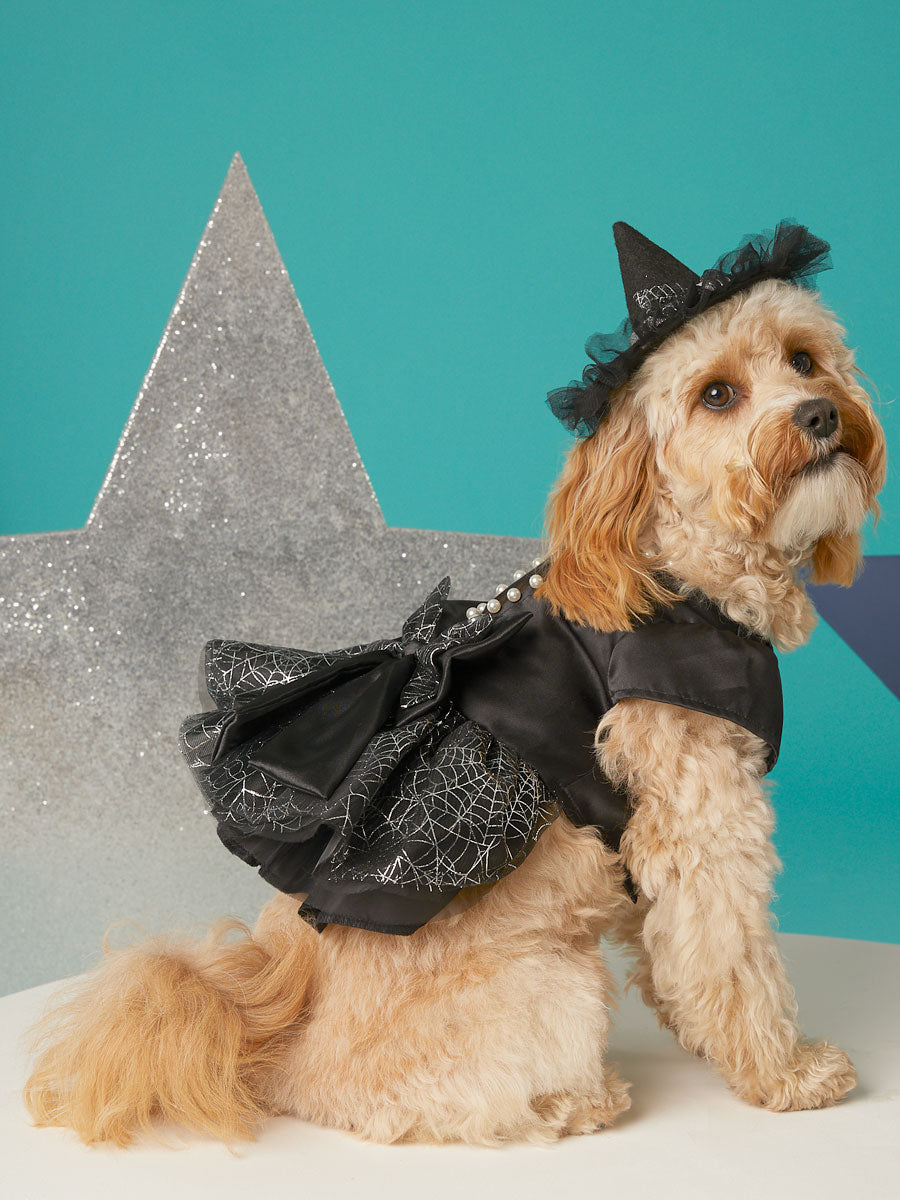 Glow In Dark Spiderweb Dress For Dogs