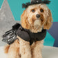 Glow In Dark Spiderweb Dress For Dogs