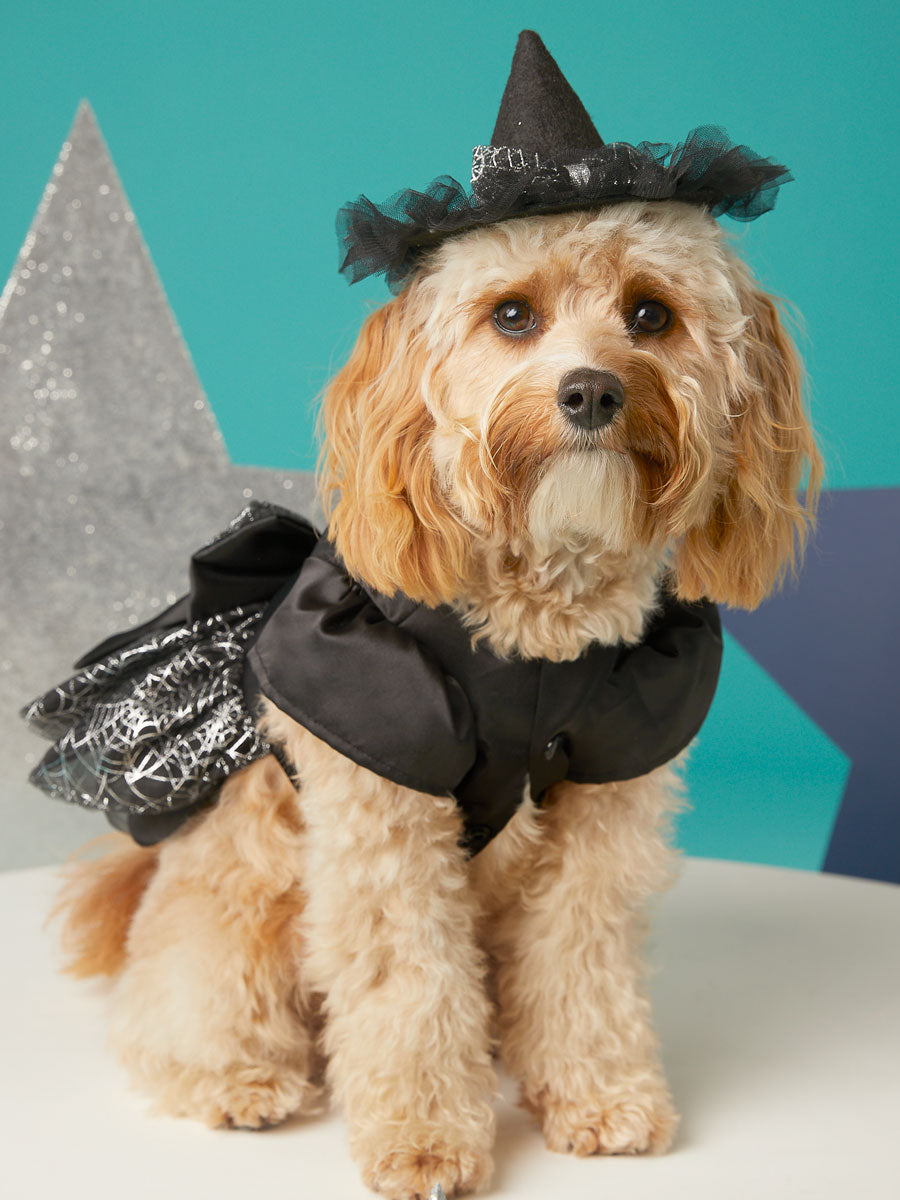 Glow In Dark Spiderweb Dress For Dogs