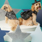 Glow In Dark Spiderweb Dress For Dogs