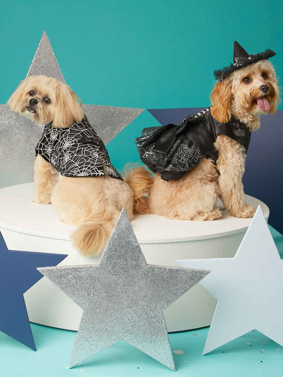 Halloween Glowing Spiderweb Tailcoat For Pets