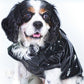 Black Biker Jacket For Dogs