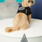 Black Biker Jacket For Dogs