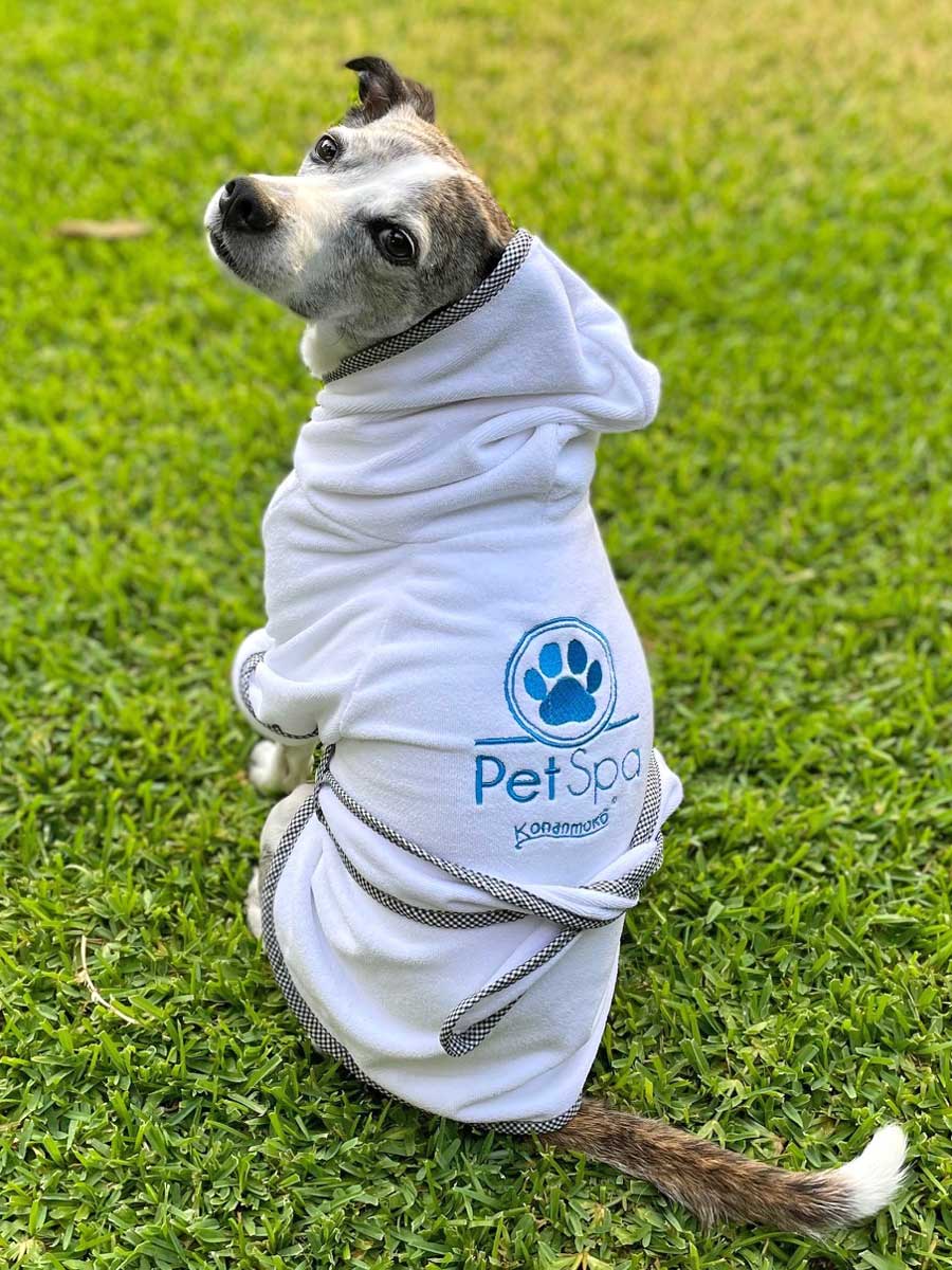 Spa Robe For Pets, Blue