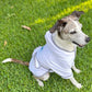 Spa Robe For Pets, Blue