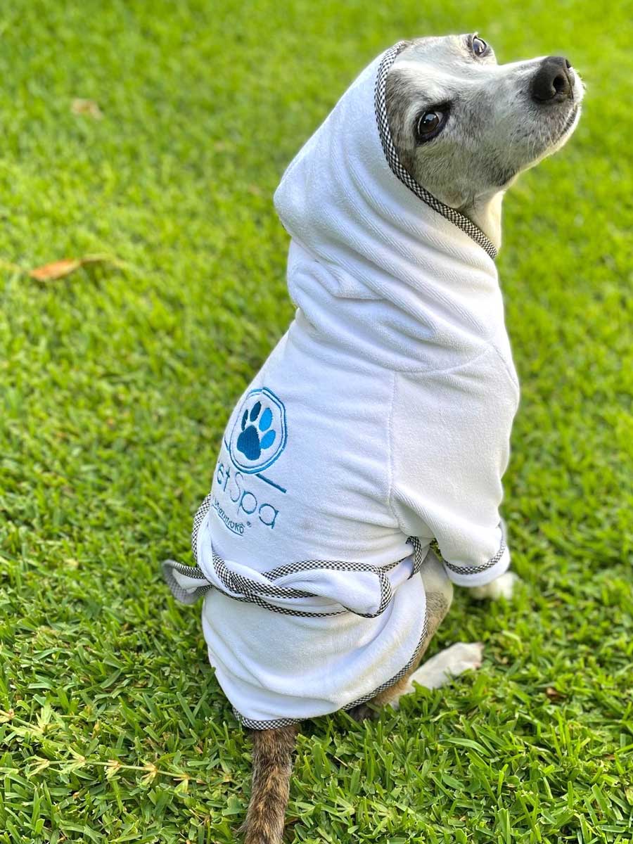 Spa Robe For Pets, Blue