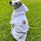 Spa Towel Robe For Dogs, Gold