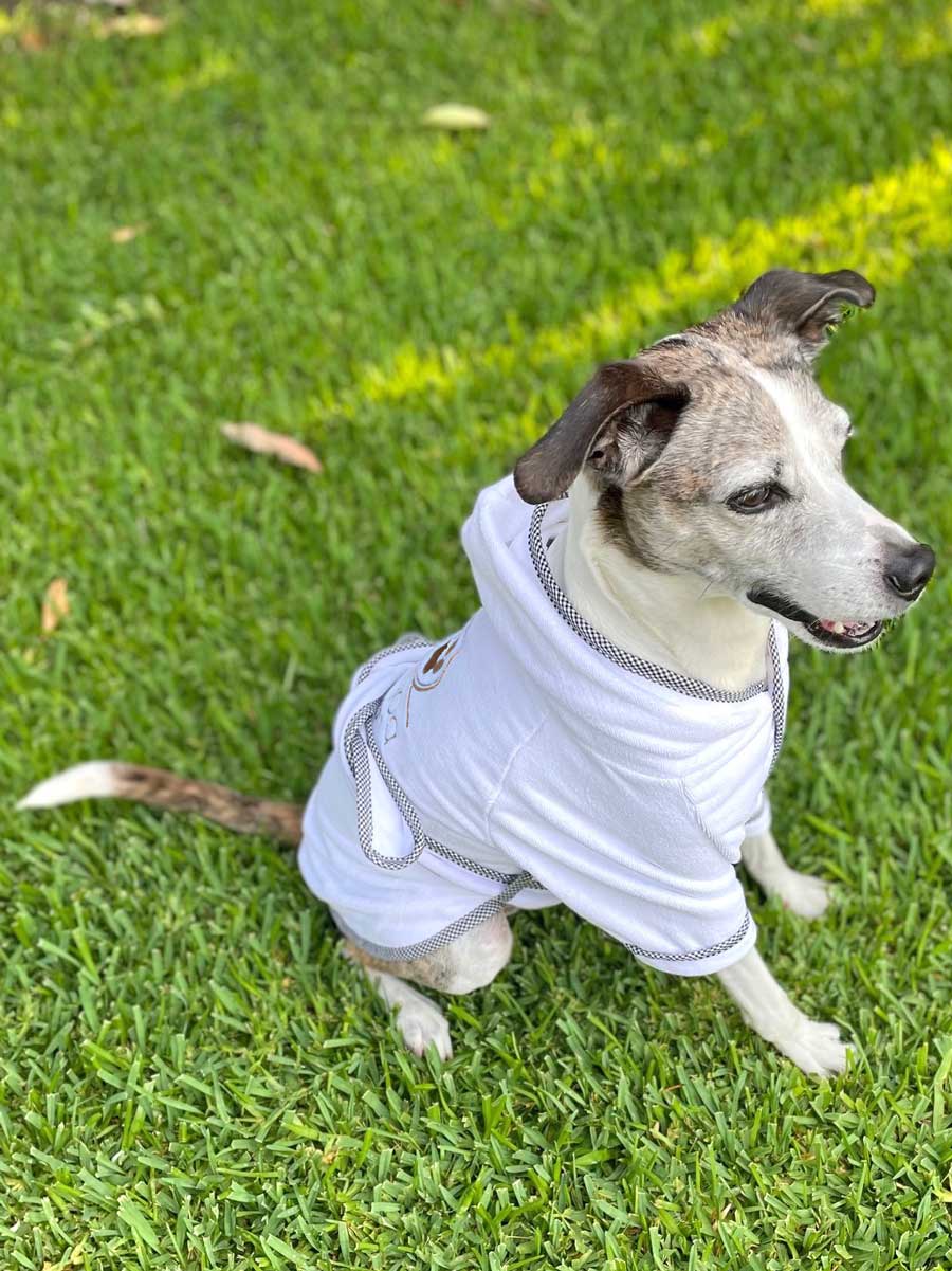 Spa Towel Robe For Dogs, Gold