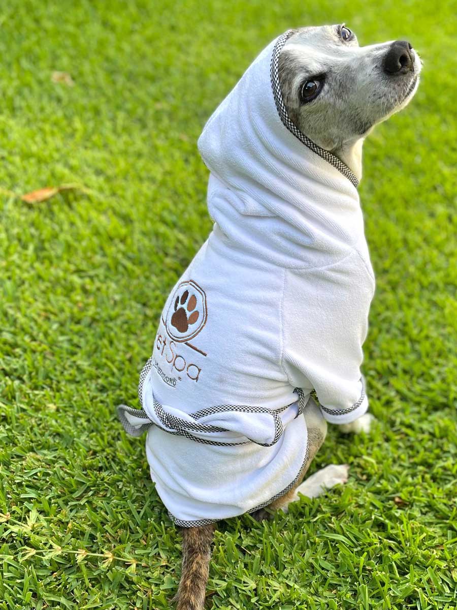 Spa Towel Robe For Dogs, Gold