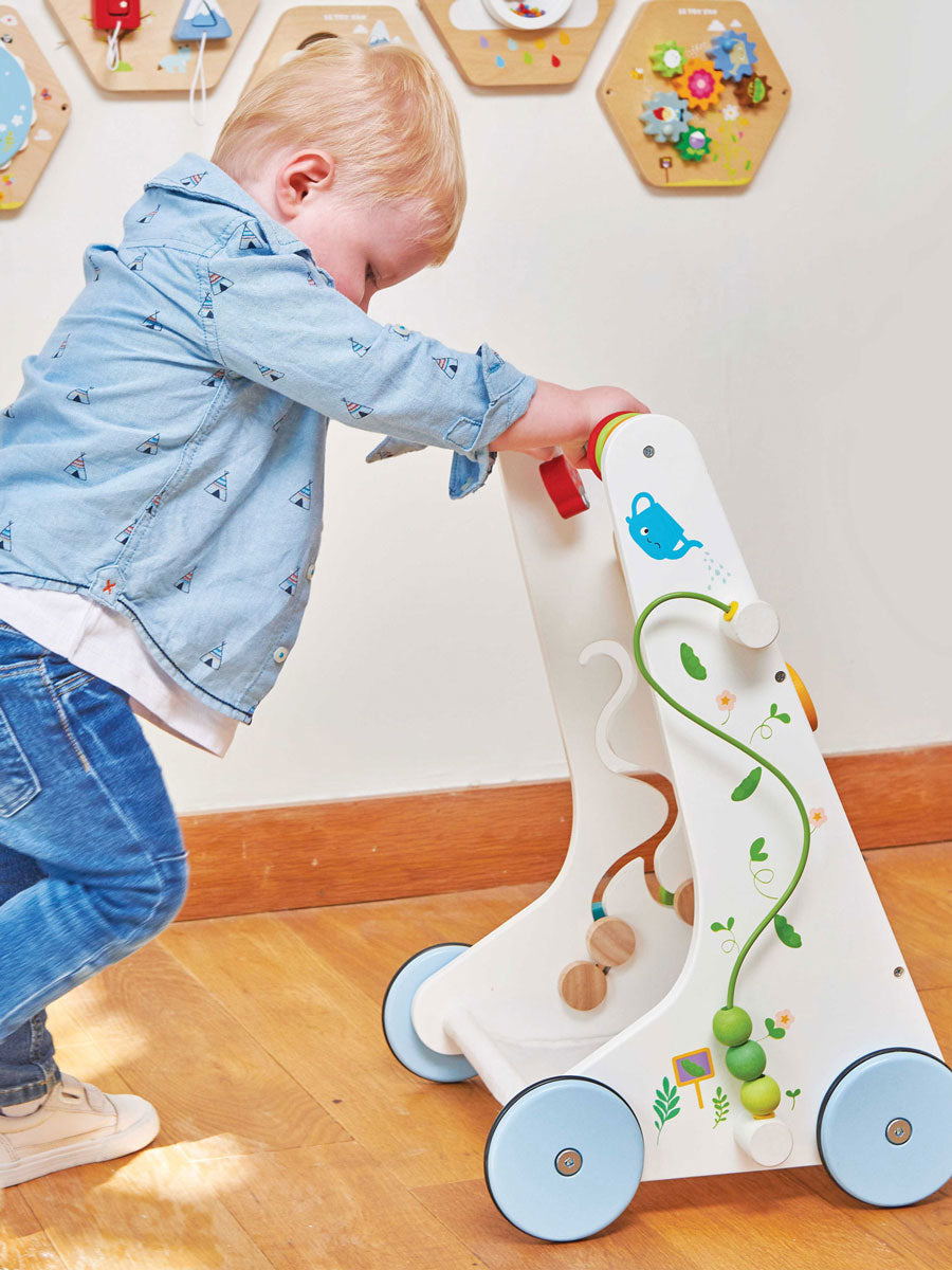 Activity Walker Wooden Toy