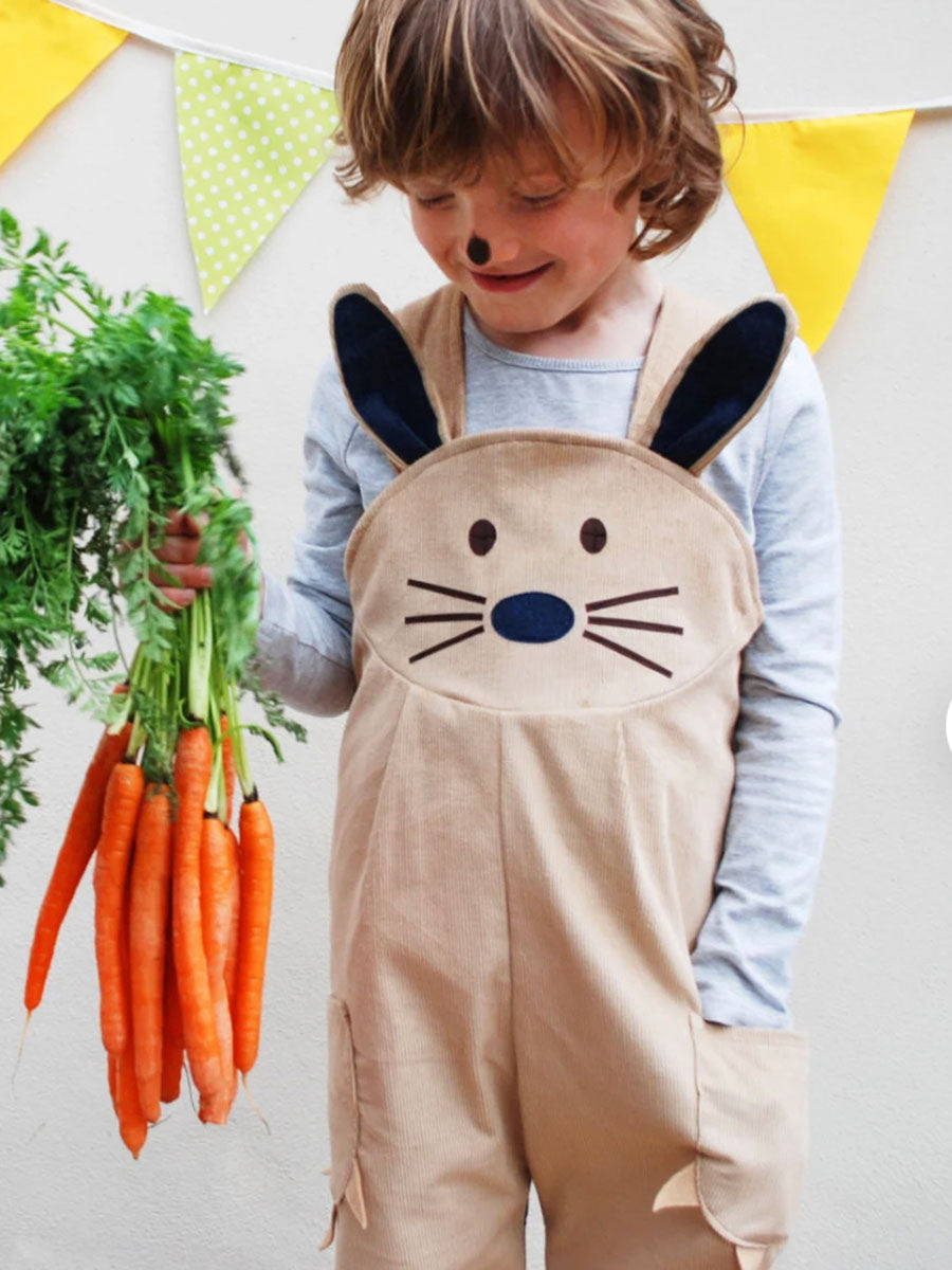 Cute Baby Boy Child Is Wearing Brown Bunny Dress HD Cute Wallpapers | HD  Wallpapers | ID #86656