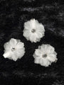 Three Mini Ivory Flower & Crystal Barrettes for Girls
