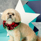Christmas Sequin Collar for Dogs